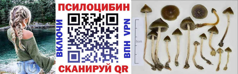Галлюциногенные грибы мицелий  Данков 